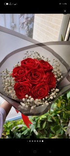 وحیده طالبی