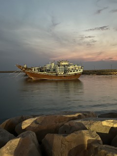 سارا شهسواری