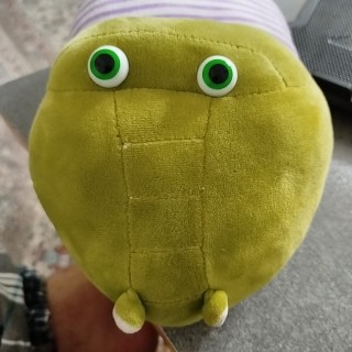 محمدرضا عباسی یوسفی