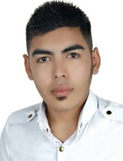 هادی سلطان نژاد