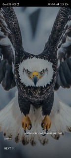 عبدالرضا باقری