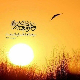 فاطمه فرجی