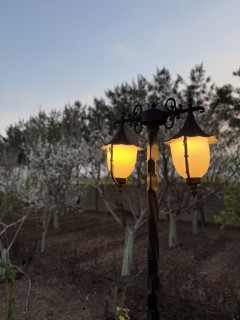 نوید مازندرانی