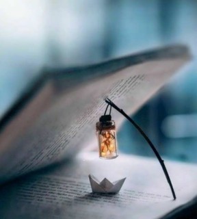 پانیذ باقری