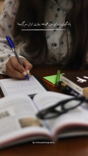 شیلای جستجوگر