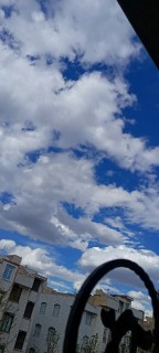 ریحانه امانی