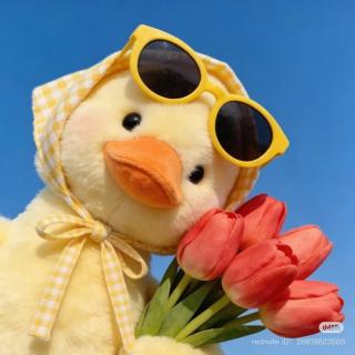 سولماز 