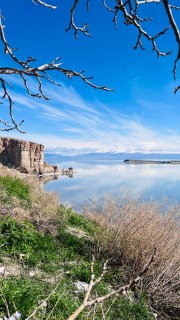 فاطمه رشکانی