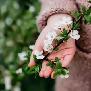 tal*****@yahoo.com