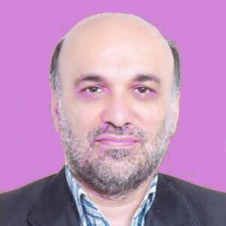 مسعود چیتگرها