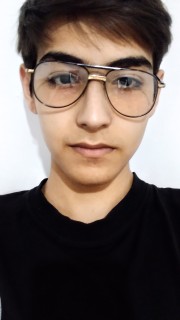 سید احسان آل طه