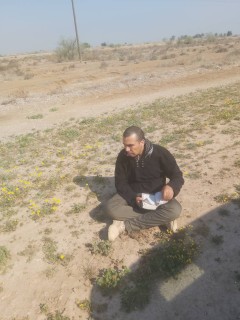 مانی گل آبی تجربشی