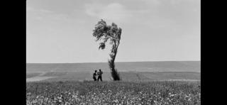 محمد موجنی‌پور