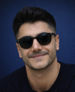 امیر تیموری