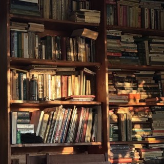 ندا موسی نسب