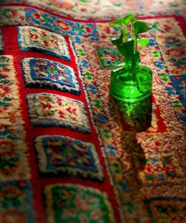 آ. امراللهی