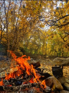 باران شیرزاد