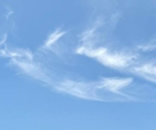 معصومه قدس