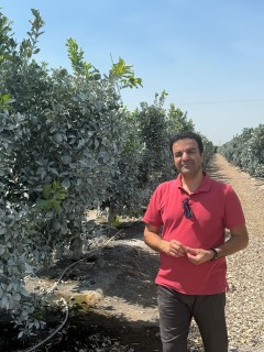 Mehdi Kamali