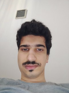 Mahdi Solhjo