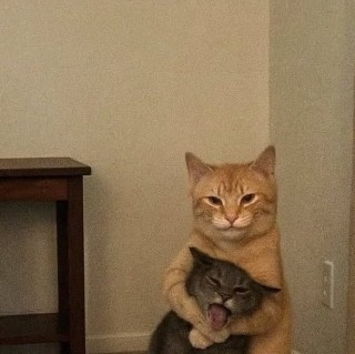 علیرضا غمگسار