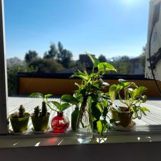 امید احمدپور