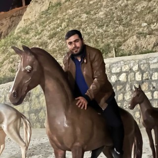 رسول رسینا