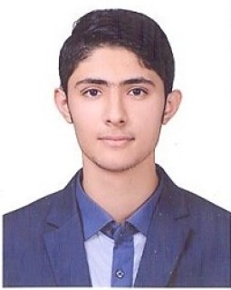 مصطفی مرتضوی