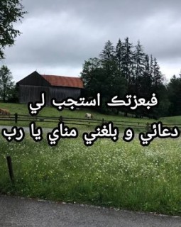 سمیرا رزمجو