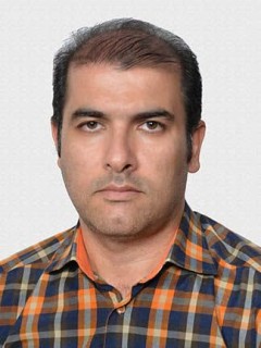 محمد حسن ارجمندی