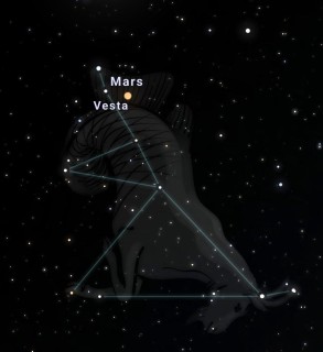 مریم میرواسع