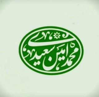 محمدامین سعیدی