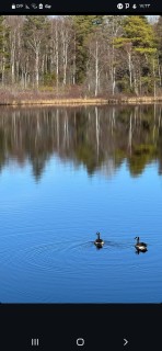 سمیرا عزیزی