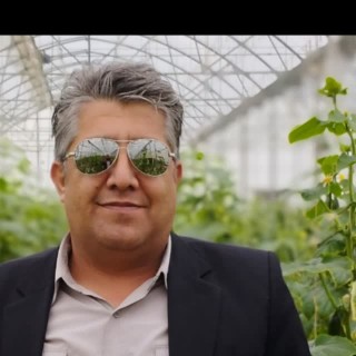 وحید امرودی