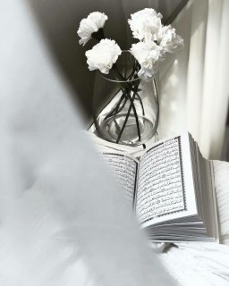 امیرحسین ادبی فیروزجائی
