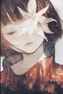 Rojaein 