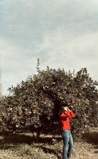 aysa khademian