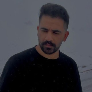 محمد رضا سبزی