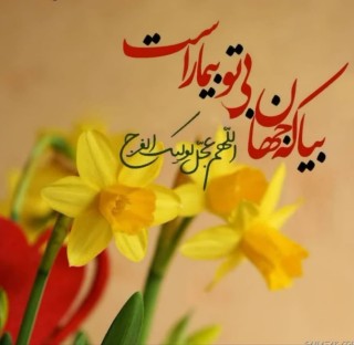 ریحانه سادات 