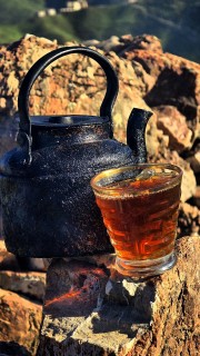 فاطمه 