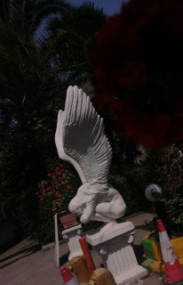 عارفه عنایتی فر