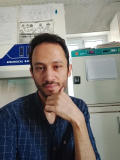 بهزاد رستمی