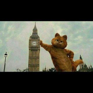 ابوالفضل dal